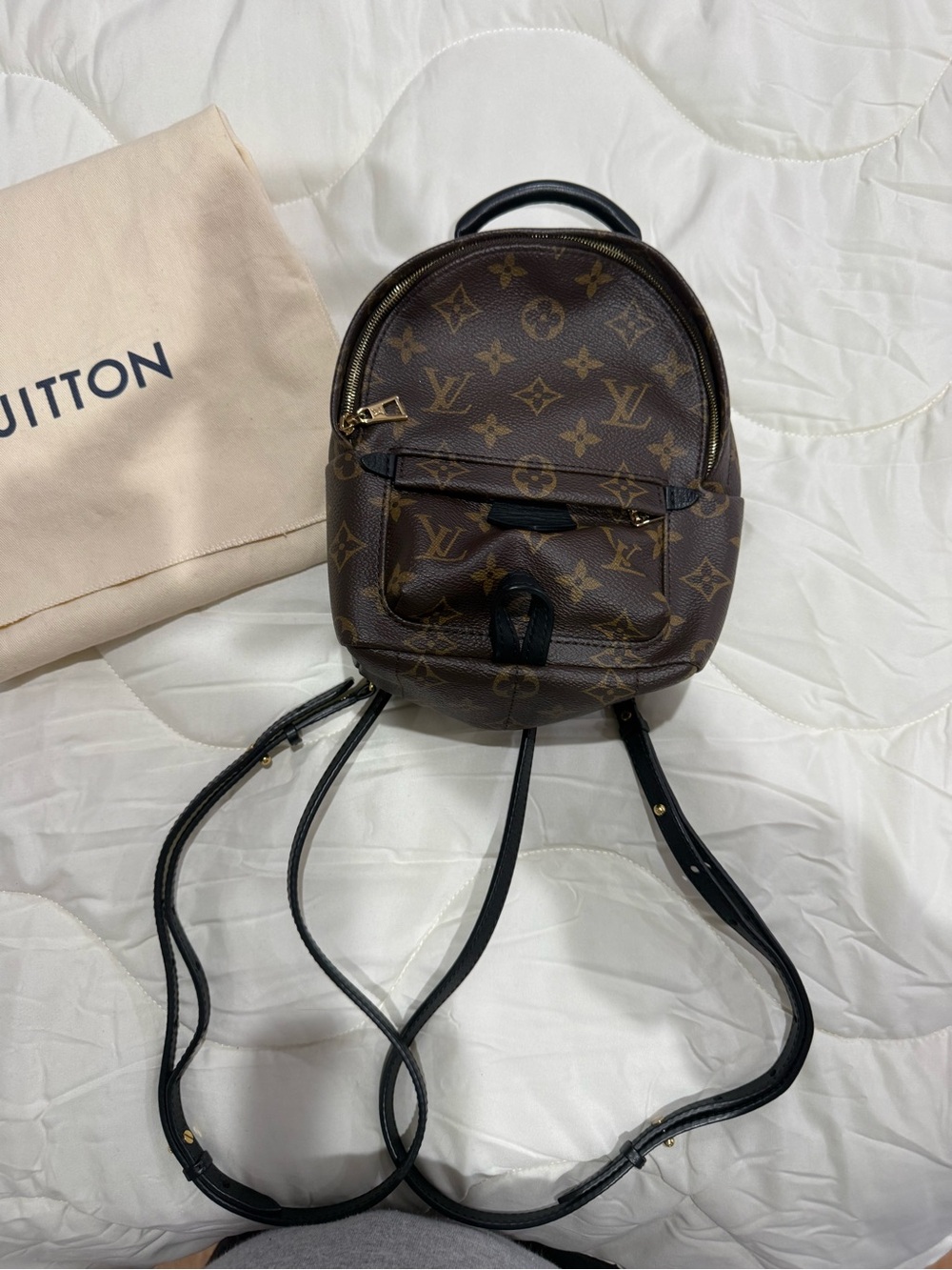 Louis Vuitton palm spring mini